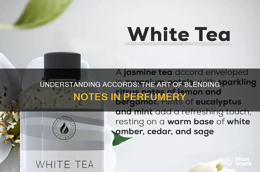 what are accords in perfume
