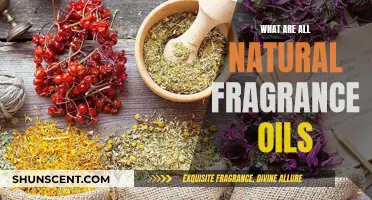 Exploring the Best Natural Fragrance Oils: A Comprehensive Guide