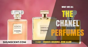 Exploring the Complete Collection of Chanel Perfumes: A Scent Guide