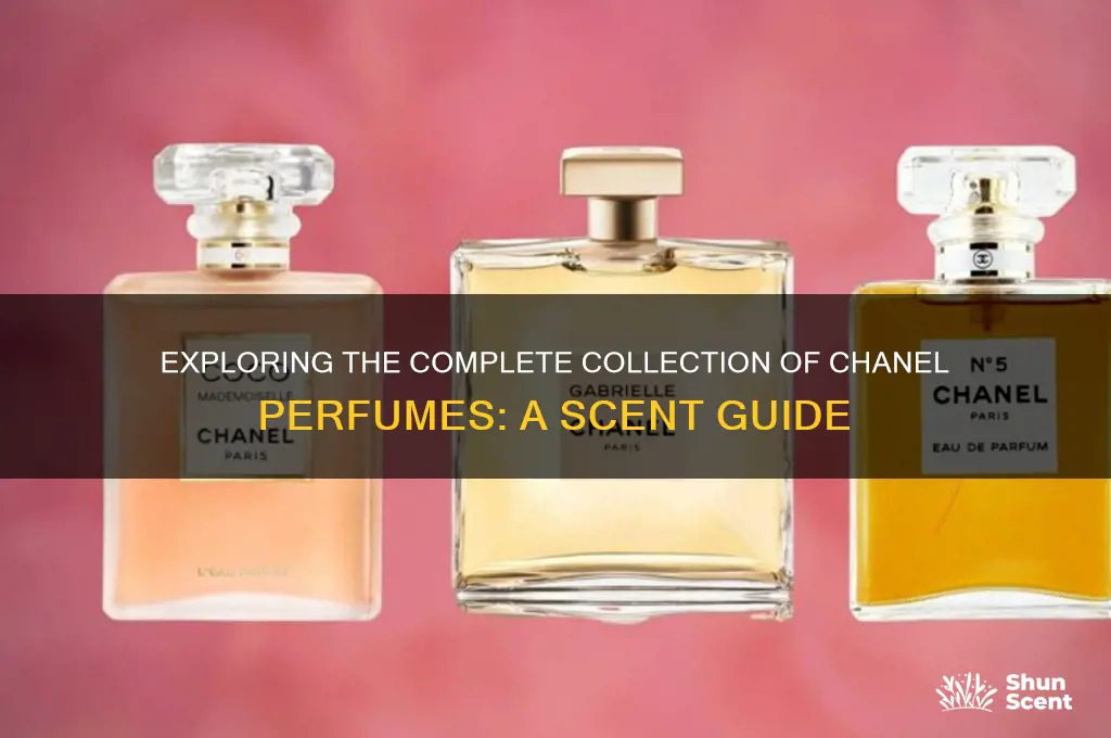 what are all the chanel perfumes