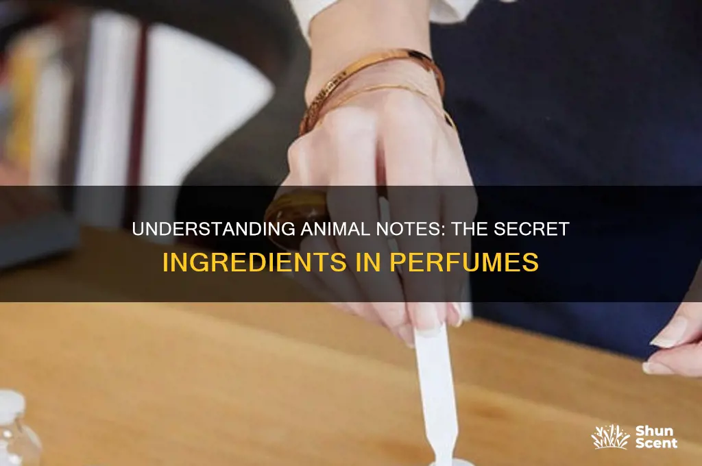 what are animal notes in perfume