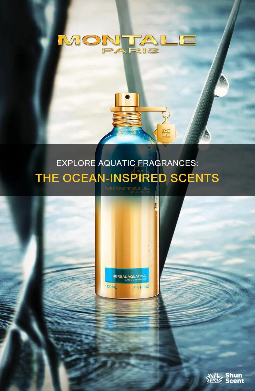 what are aquatic fragrances