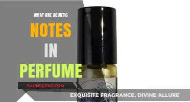 Exploring Aquatic Notes: The Fresh, Ocean-Inspired Scents in Perfumes