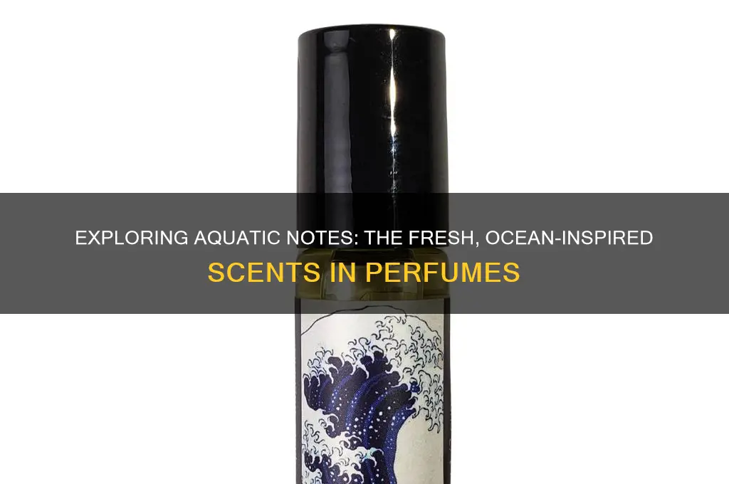 what are aquatic notes in perfume