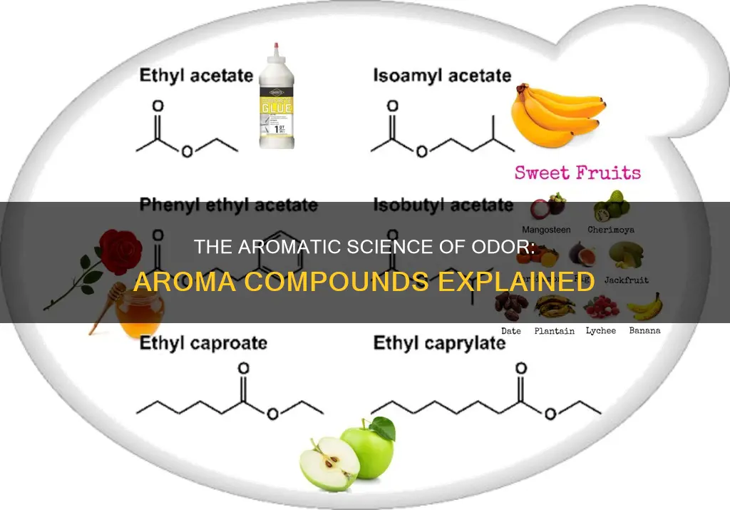 what are aroma compounds called