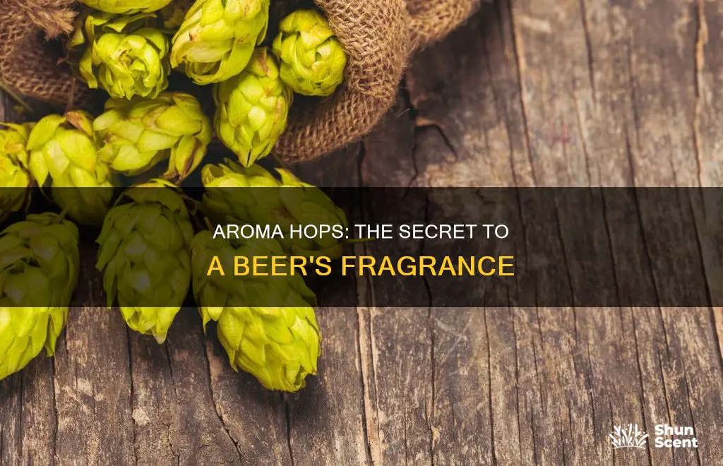 what are aroma hops