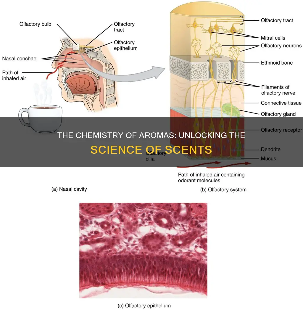 what are aromas chemically