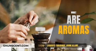 The Aromatic World: Understanding Aromas and Their Power