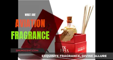 The Rise of Aviation Fragrances: Scents Taking Flight