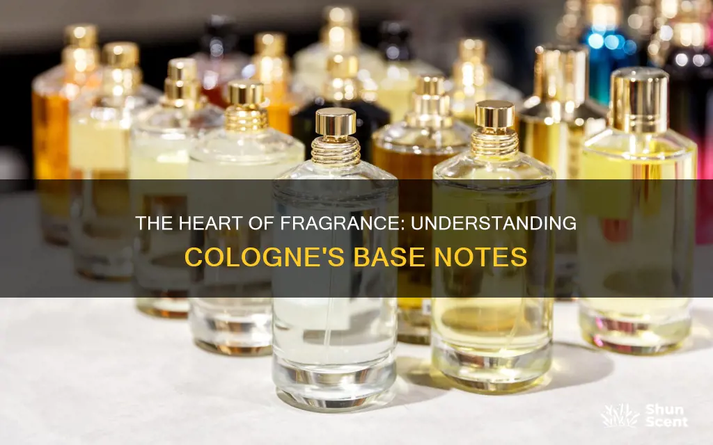 what are base notes in cologne