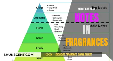 Uncover the Secrets: Understanding Base Notes in Fragrances