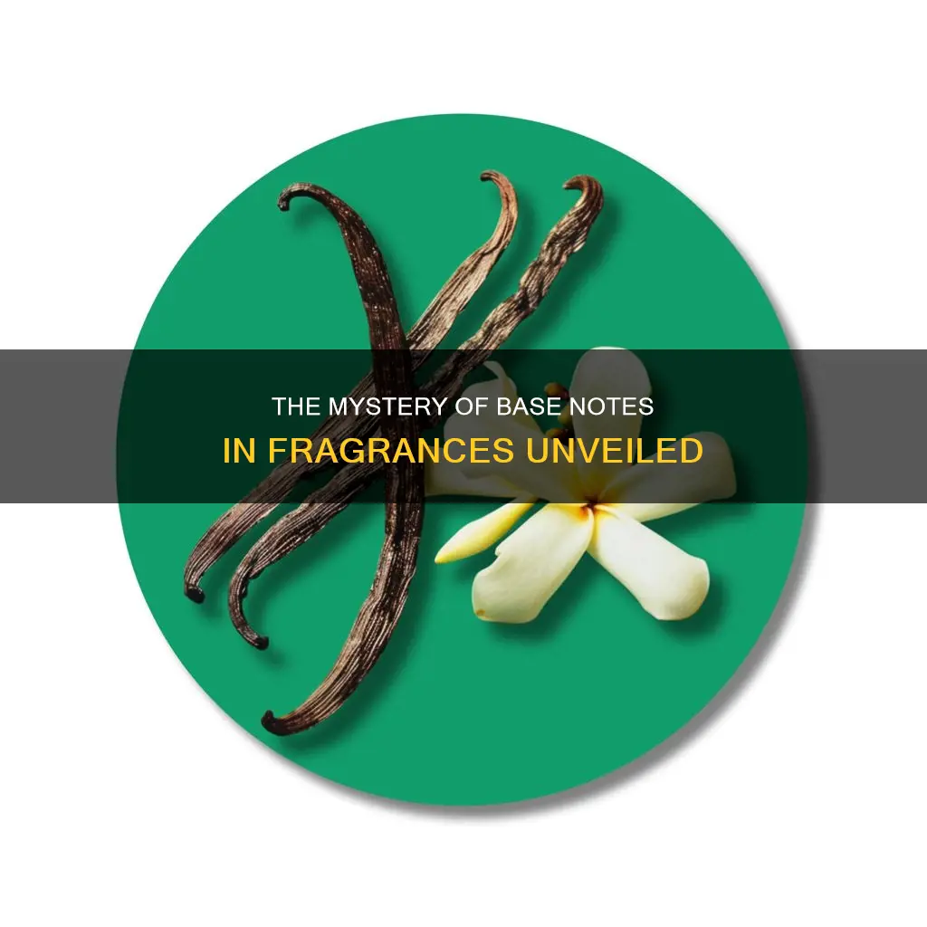 what are base notes in fragrances