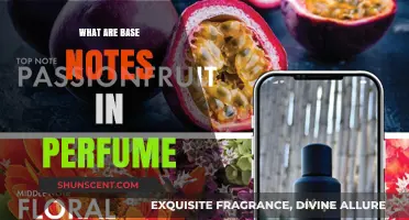 The Mystery of Perfume's Base Notes Unveiled
