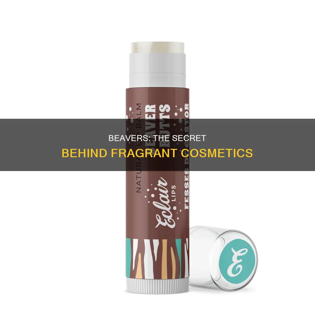 what are beavers used for in cosmetics and fragrance