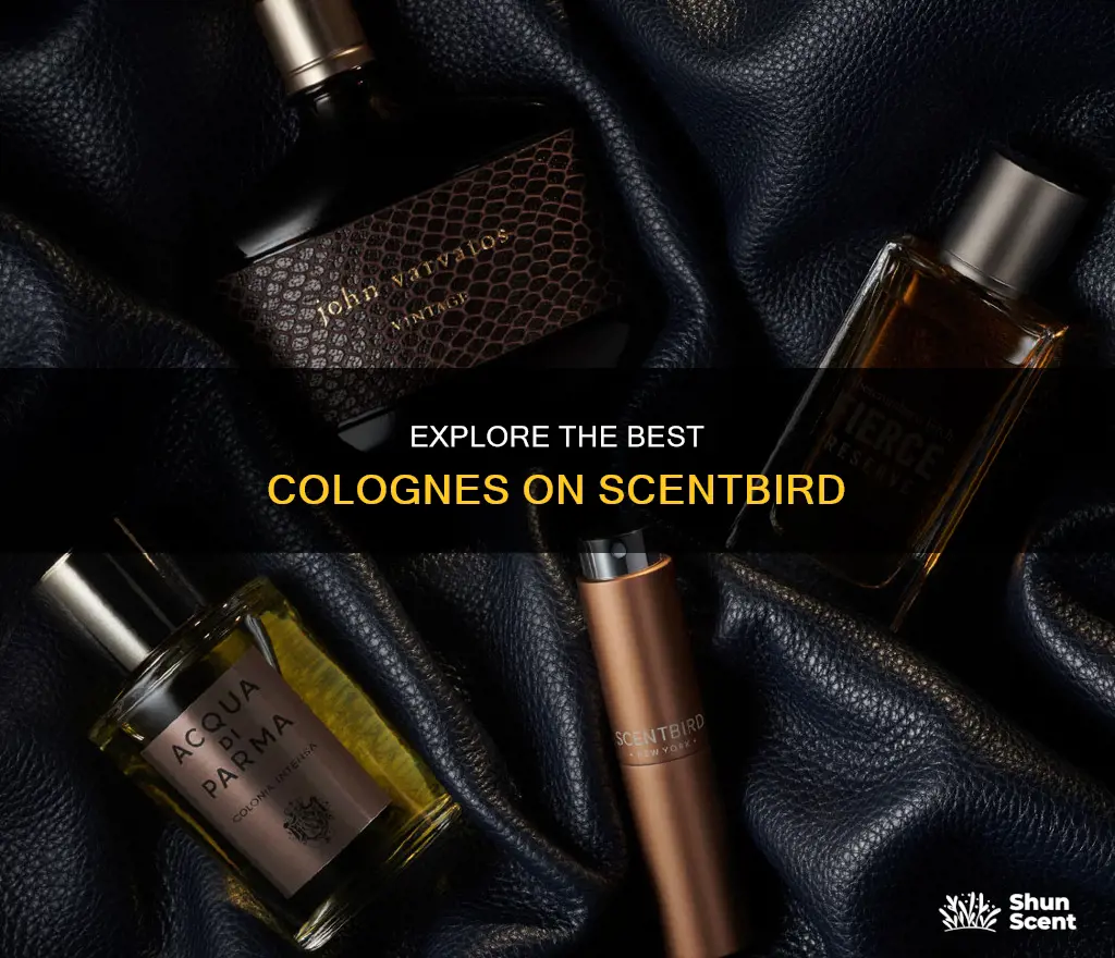 what are best colognes to get on scentbird