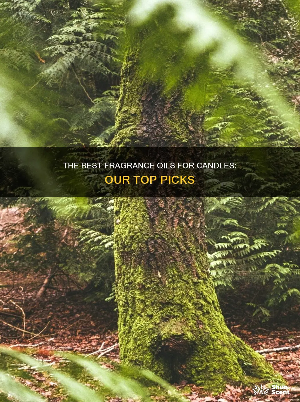 what are best fragrance oils for candles