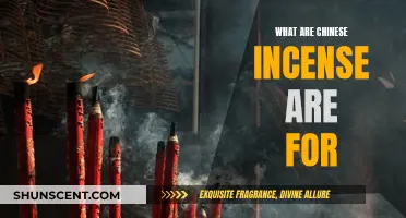 Incense in Chinese Culture: Their Meanings and Uses