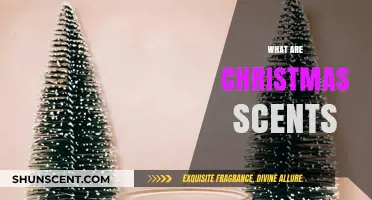 Festive Aromas: Unwrapping the Magic of Christmas Scents
