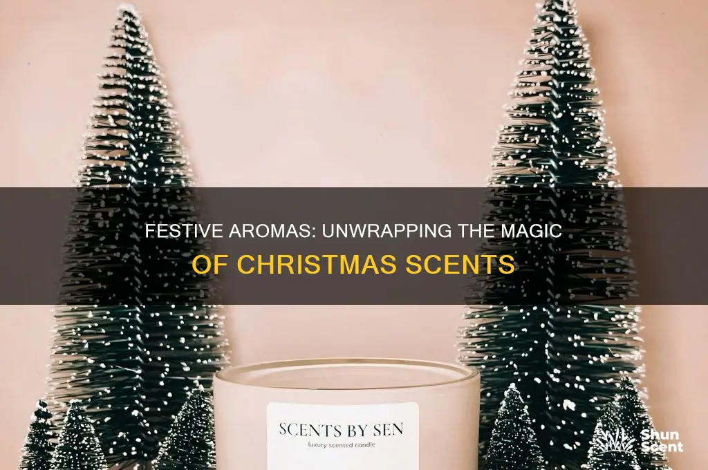 what are christmas scents
