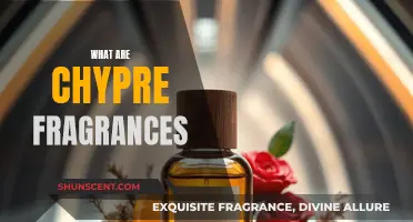 Chypre: The Timeless, Woody-Floral Scent Story