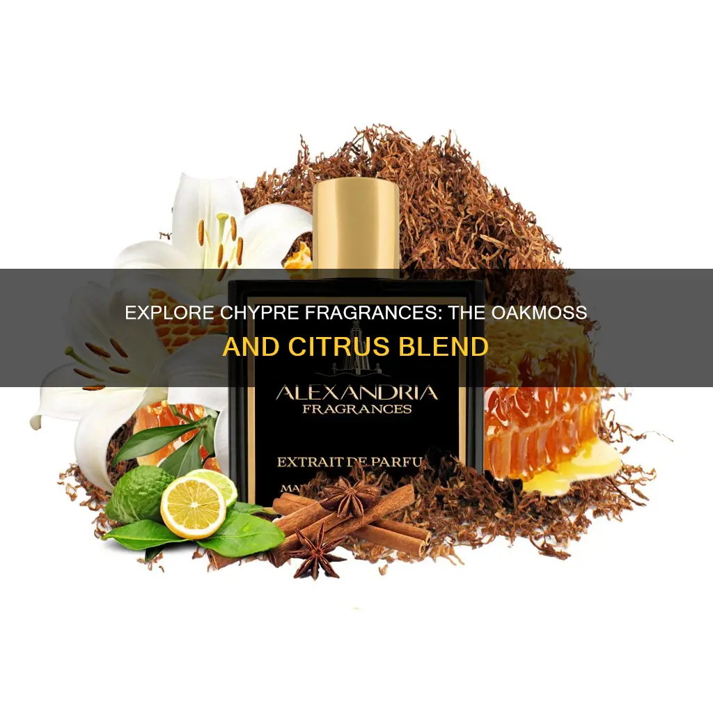 what are chypre fragrances