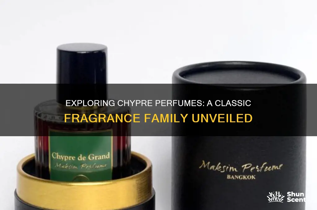 what are chypre perfumes