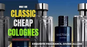 Affordable Classics: Cheap Colognes That Stand the Test of Time