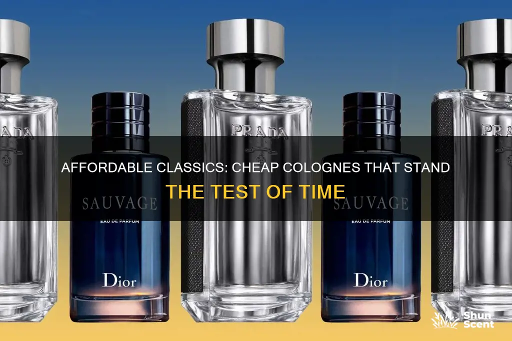 what are classic cheap colognes