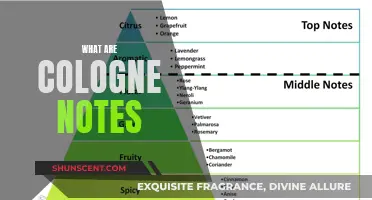 The Intricate Art of Cologne Notes: Understanding Fragrances Better