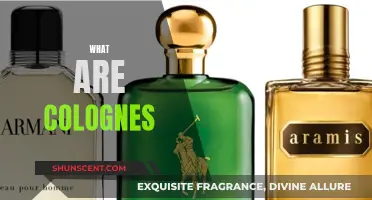 The World of Colognes: A Beginner's Guide