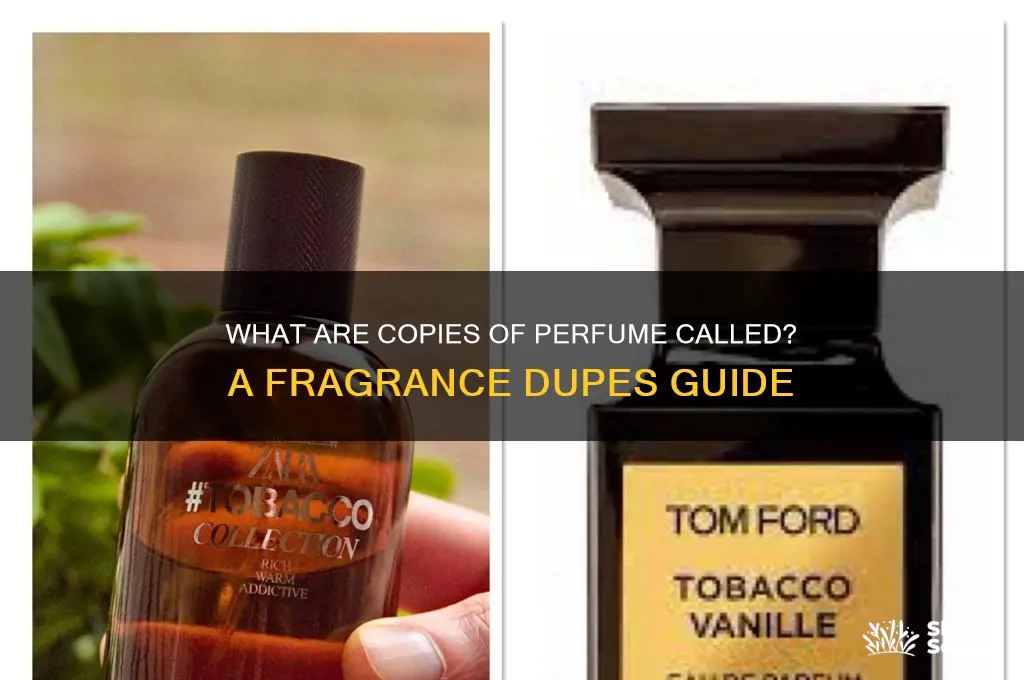 what are copies of perfume called