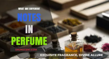 Exploring the Layers: Understanding Different Notes in Perfume Composition