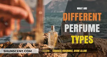 Exploring the Diverse World of Perfume Types and Fragrances