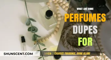 Dime Perfume Dupes: Affordable Alternatives for Luxury Scents