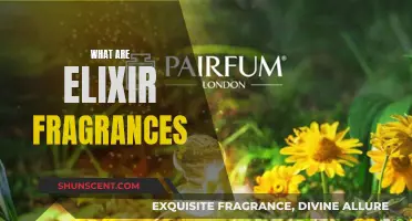 Unveiling the Essence: Exploring Elixir Fragrances