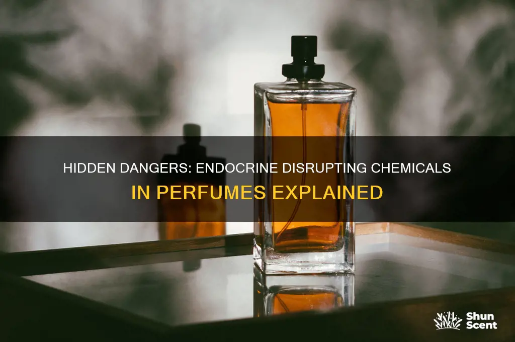 what are endocrine disrupting chemicals found in perfumes