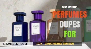Discover Affordable Finery Perfumes Dupes: Smell Luxurious for Less