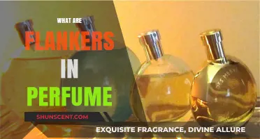 Understanding Flankers: Exploring Perfume Variations and Their Unique Scents