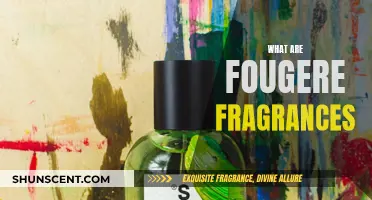 Fougère Fragrance: A Guide to This Timeless Scent Family