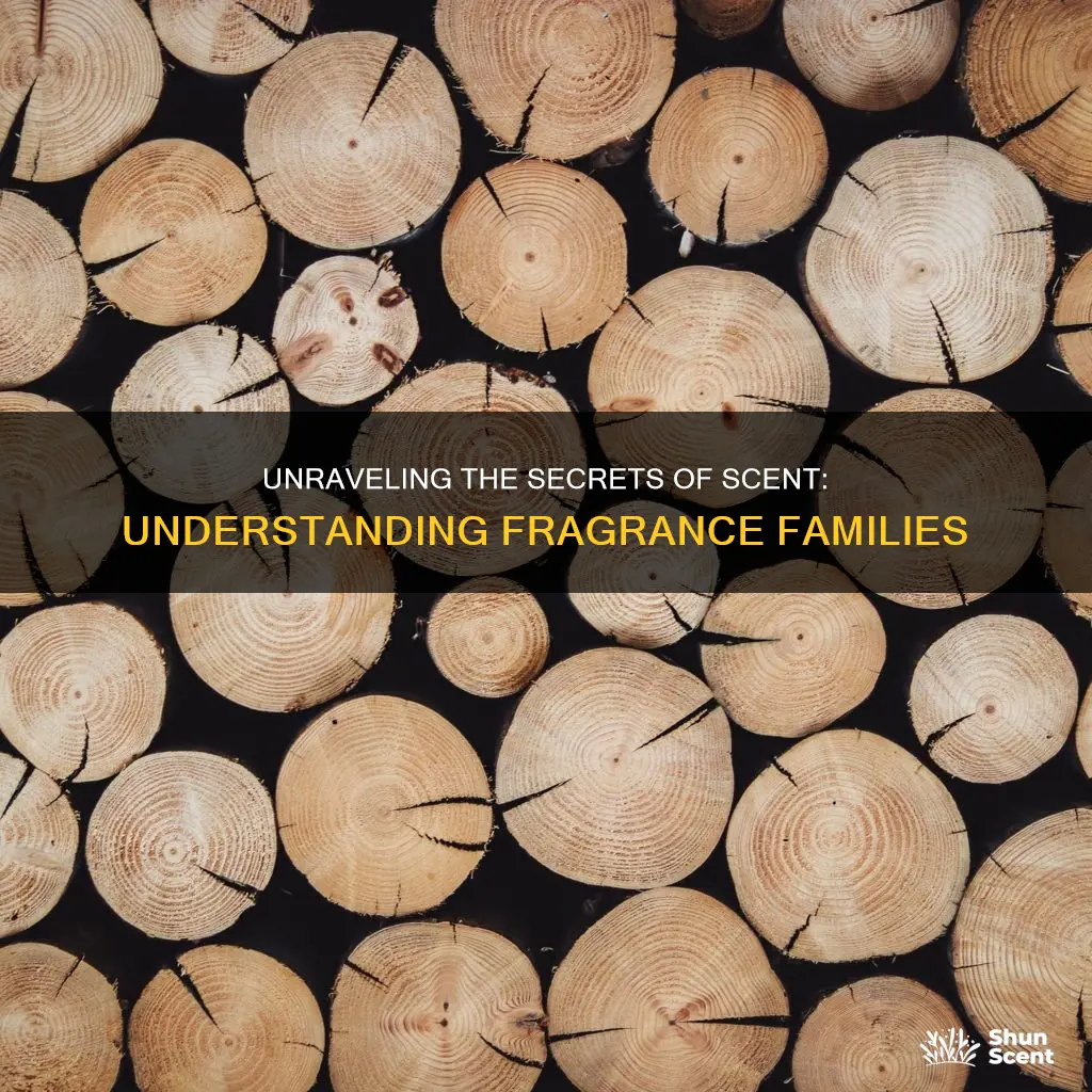 what are fragrance families