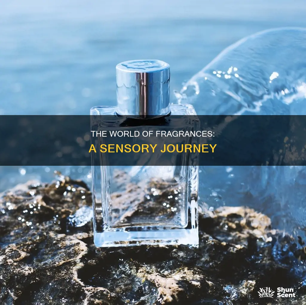 what are fragrance