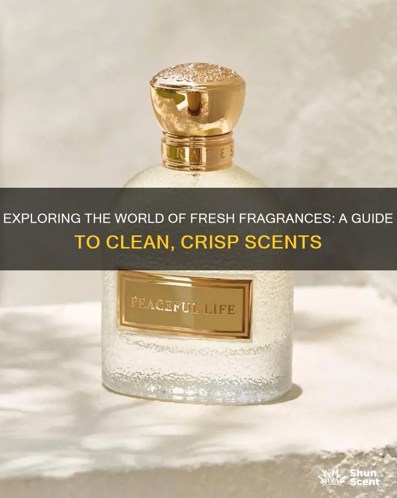 what are fresh fragrances