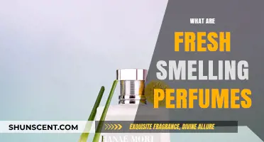 Fresh Scents: Perfumes That Smell Like Clean Laundry