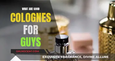 The Best Colognes to Gift Your Guy