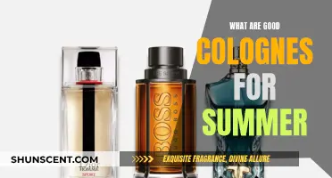 Summer Scents: Choosing the Right Cologne for Warmer Weather