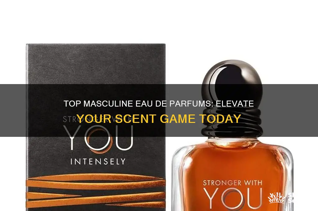 what are good eau da perfumes for men