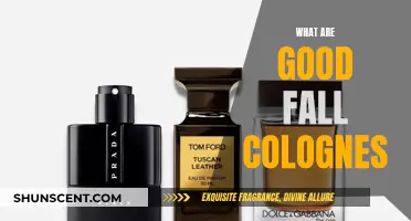 Fall Scents for Men: Top Colognes for the Season