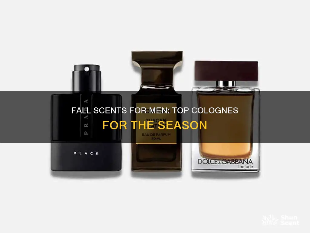 what are good fall colognes