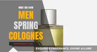 Spring Scents for Him: Fresh Colognes to Try