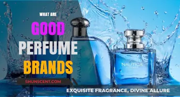 Discover Top Perfume Brands for Lasting Fragrance and Elegance